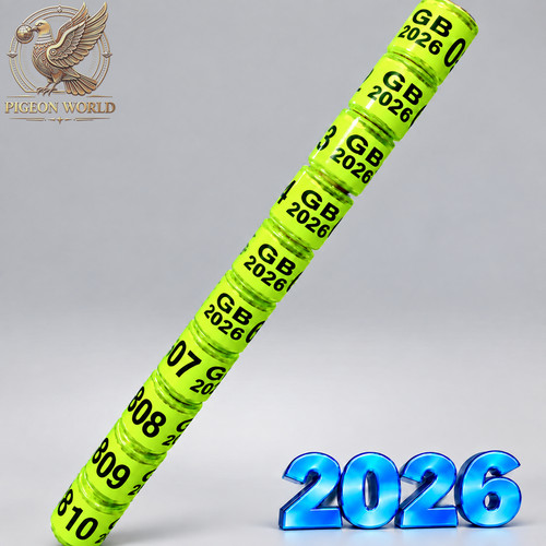 2026 8mm pigeon leg foot - gb,