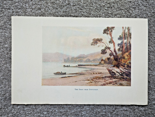 The dart near dittisham - dart,