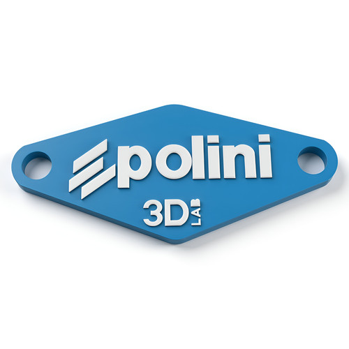 Polini custom minarelli - polini,