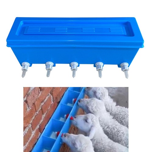 Lamb feed bottle - lamb,