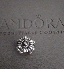 Genuine Pandora Moments