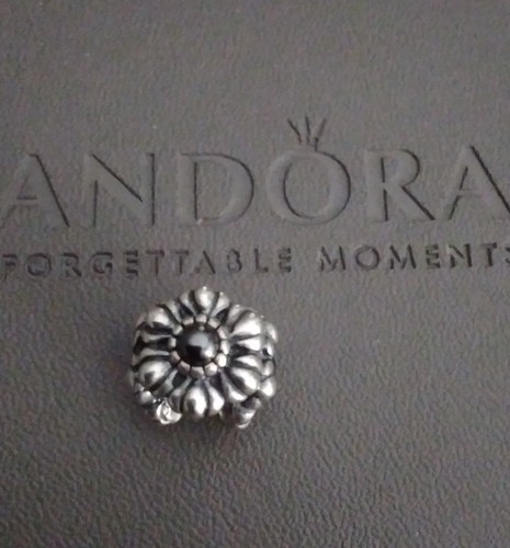 Genuine pandora moments - pandora,