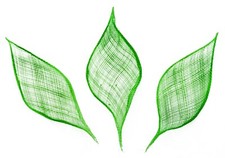 Large Leaf Petal Trimmings