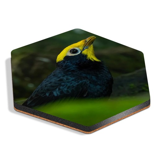Hexagon mdf coaster golden - hexagon,