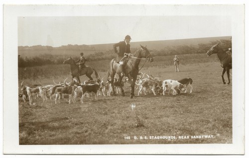 Devon somerset staghounds - somerset,