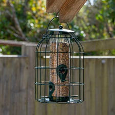 Squirrel proof hanging bird - squirrel,