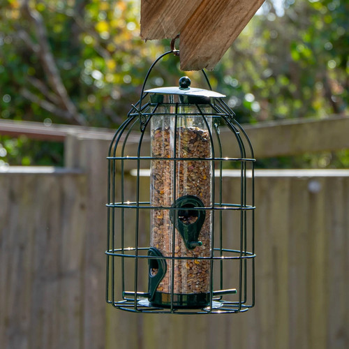 Squirrel proof hanging bird - hanging,