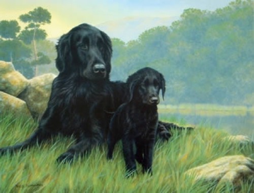 Nigel hemming print a flat - nigel,