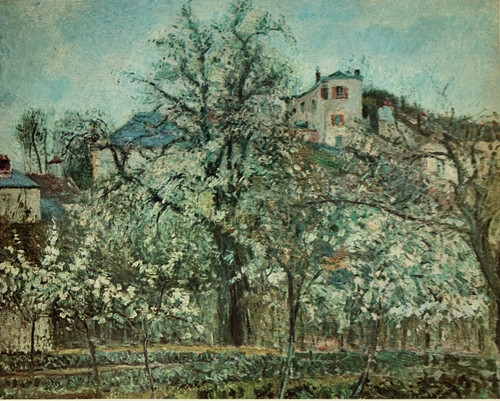 Orchard with flowering fruit - orchard,