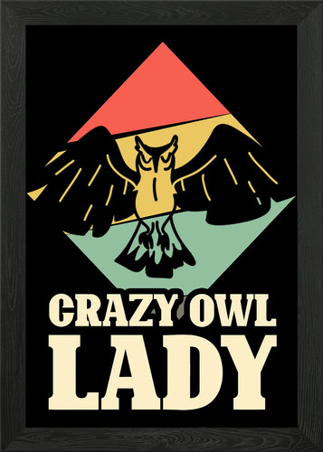 Crazy owl lady night - crazy,