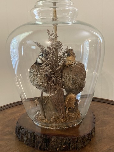 Vintage pair bobwhite quail - pair,