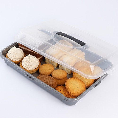 Plastic rectangular food - plastic,