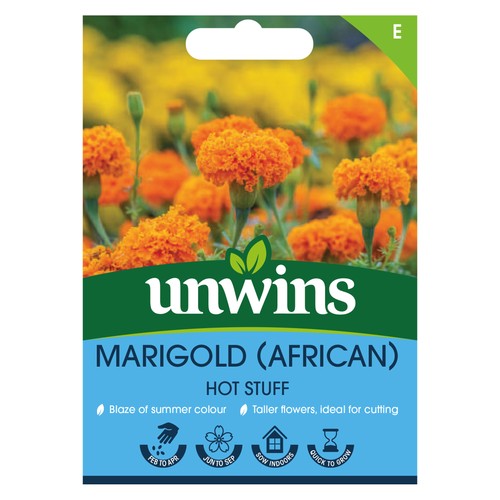 Marigold hot stuff - marigold, (african)