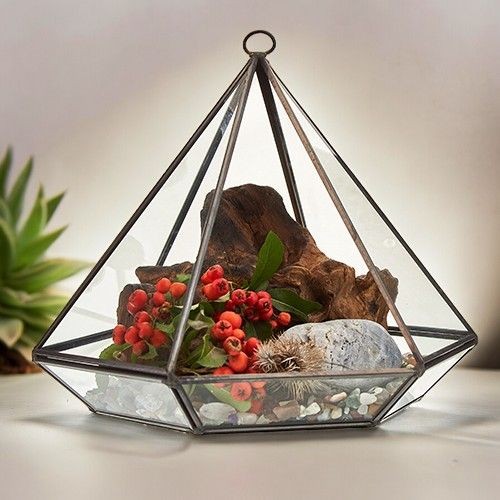 Large diamond glass - glass, terrarium
