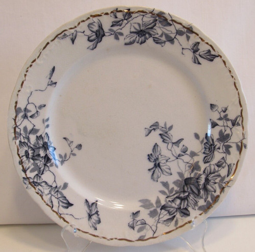 Antique till sons - &, clematis