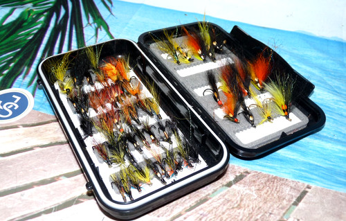 Stunning quality salmon - stunning,