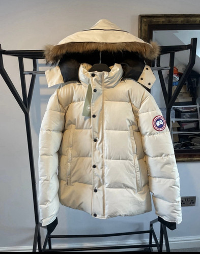 Canada goose arctic program - goose,