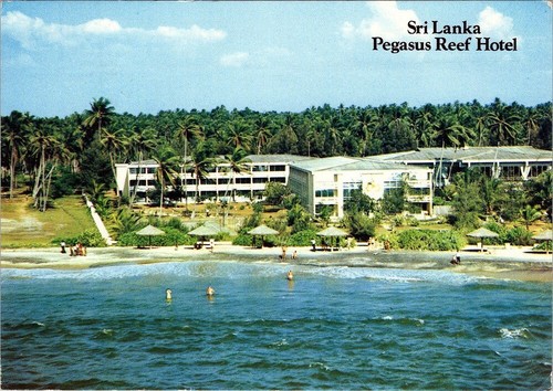 Postcard sri lanka pegasus - postcard,