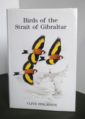 Birds the strait of - birds,