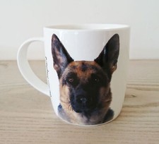 German Shepherd Alsatian Dog