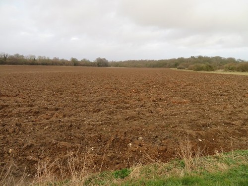 Photo 6x4 lower - lower, field