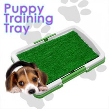 Puppy Dog Pee Toilet Training Winter Tray Mat Loo Pad Potty Grass Home Animal