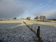 Photo 6x4 Carony Townland