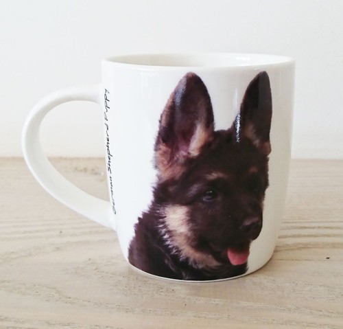 German shepherd alsatian dog - german,