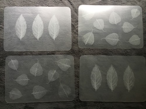 Translucent clear frosted - translucent, clear/frosted