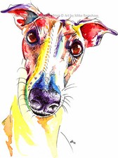 Greyhound Whippet Lurcher art
