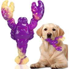 Indestructible Dog Toys for