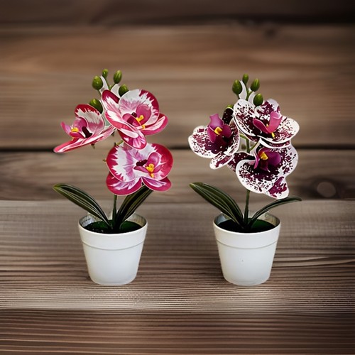 Set purple pink - purple,