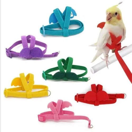 Parrot bird harness leash set - parrot,