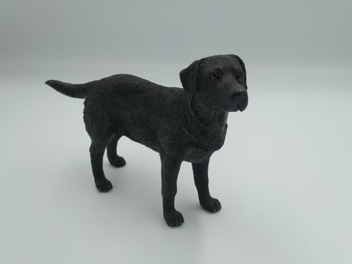 Leonardo black labrador - leonardo,