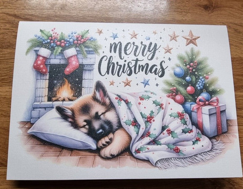 Cute german shepherd - cute,