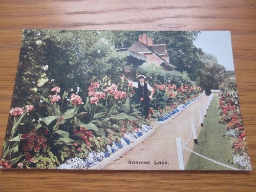 1946 salmon postcard - 1946, postcard.