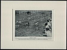 DANDIE DINMONT TERRIER  RACING OLD VINTAGE 1934 DOG PRINT READY MOUNTED