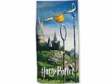 Harry Potter Quidditch Beach