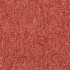 SALE! WESTEX Westex Ultima