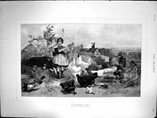 Old 1891 Morning Call Young Girl Feeding Chickens Ducks Farm Animals Victorian