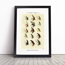 Trout fishing flies version - trout,