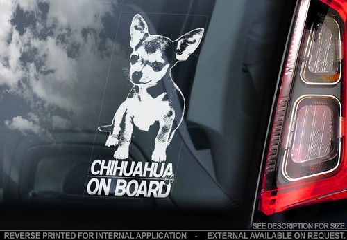 Chihuahua car window sticker - chihuahua,