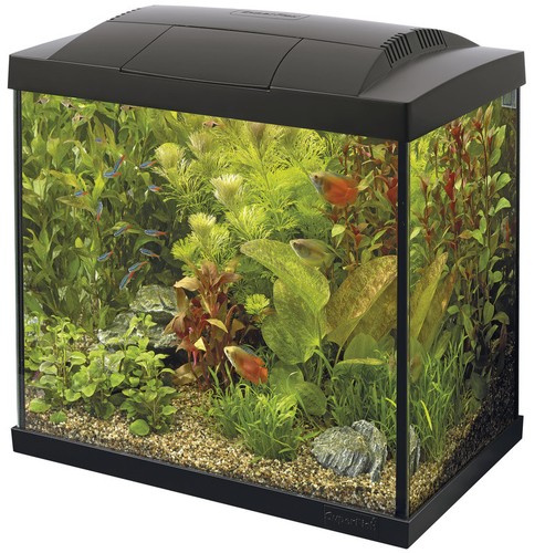 Superfish start complete - superfish, 50