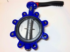6" butterfly valves ari