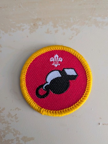 Cub activity badge - activity,