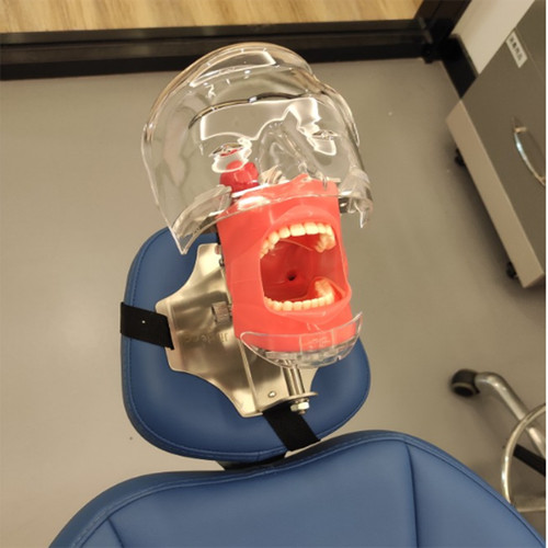 Dental manikin simulator - dental,