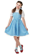 Dorothy Costume.  The Wizard