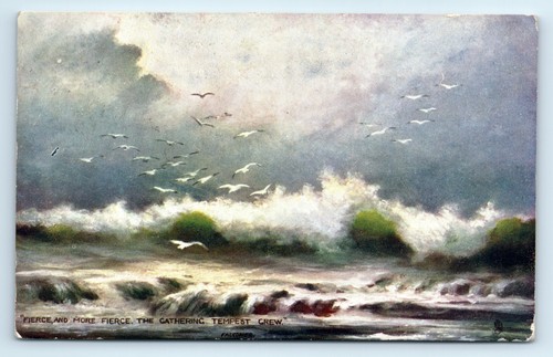 Postcard elmer keene gathering - postcard,