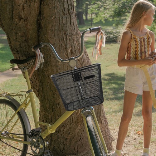 Portable bike basket - portable, metal