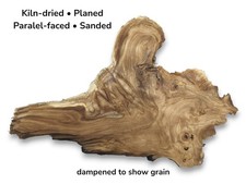 Japanese Pagoda Tree Root Wood